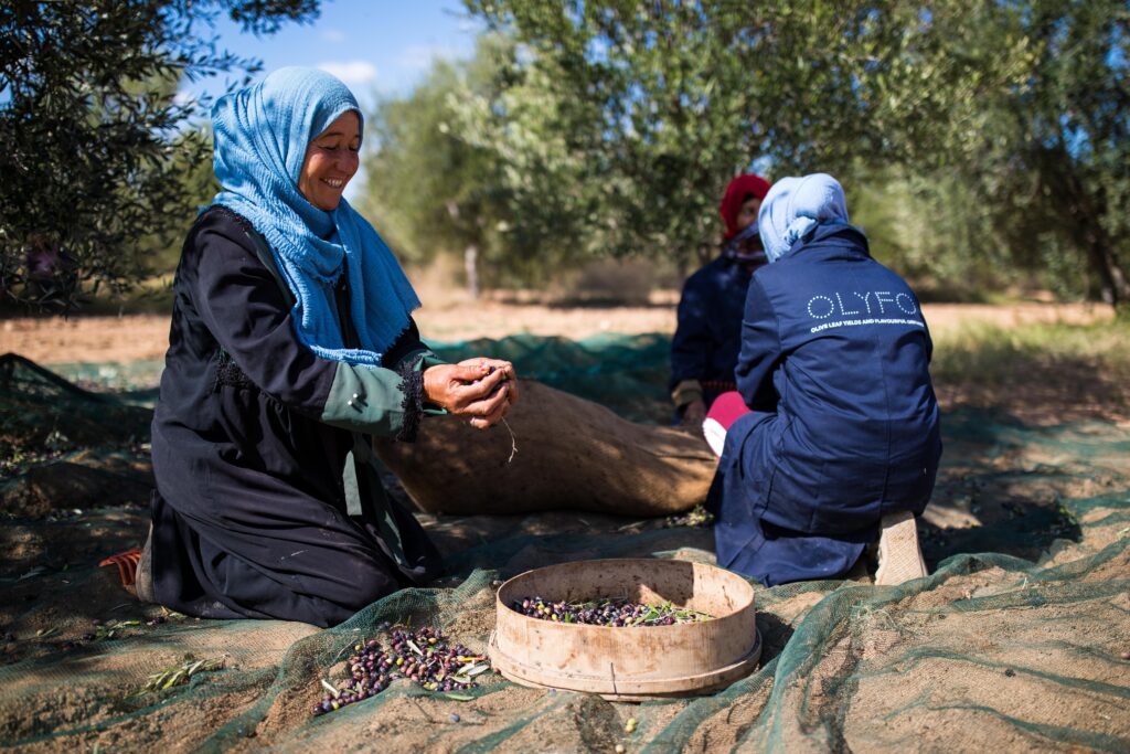 Female Workers Harvesting Olives