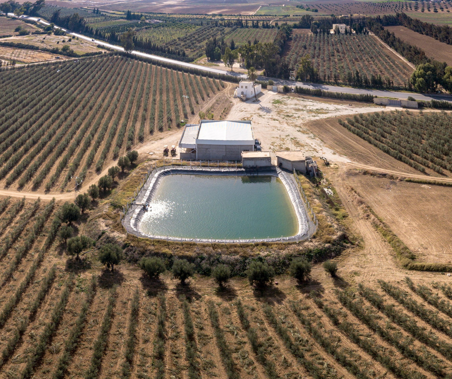 Or liquide : l’eau précieuse de la Tunisie dans l’agriculture des climats secs