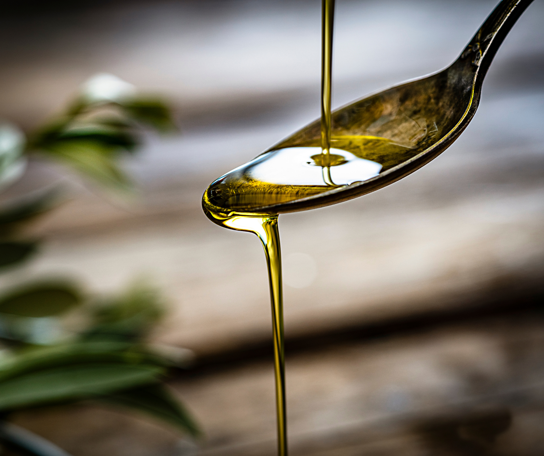 الانتعاش اساسيات كيفية التعرف على الحدة والفواكهية في زيت الزيتون البكر الممتاز من الموسم الجديد